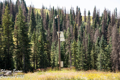 The CDot traffic camera located at Cumbres Pass
