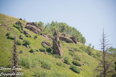 Detail of the rocks on the hillside