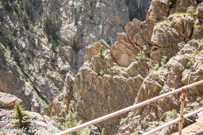 Looking down into to Gorge