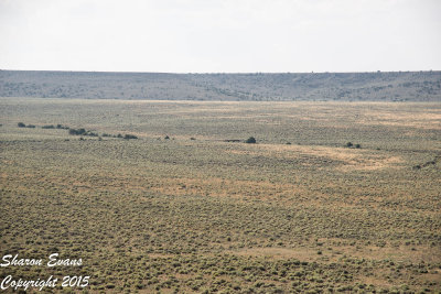 Looking across the high desert that is the eastern end of the railroad as we approach Antonito