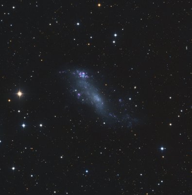 IC 2574: Coddington's Nebula LHaRGB