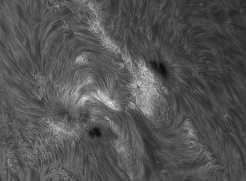AR2585 and AR2588 timelapse 10 September 2016