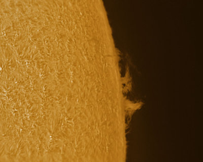 g9/92/1083792/3/163413205.mynLaEYD.jpg