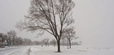 20140119 parc Valois