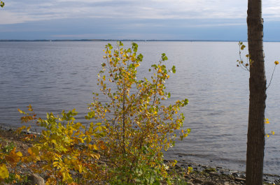 DSCF8936c.jpg