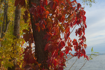 DSCF8934c.jpg