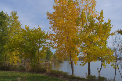 DSCF8901c.jpg