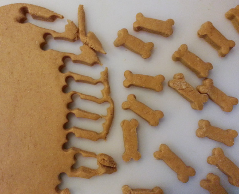 Dog Biscuits