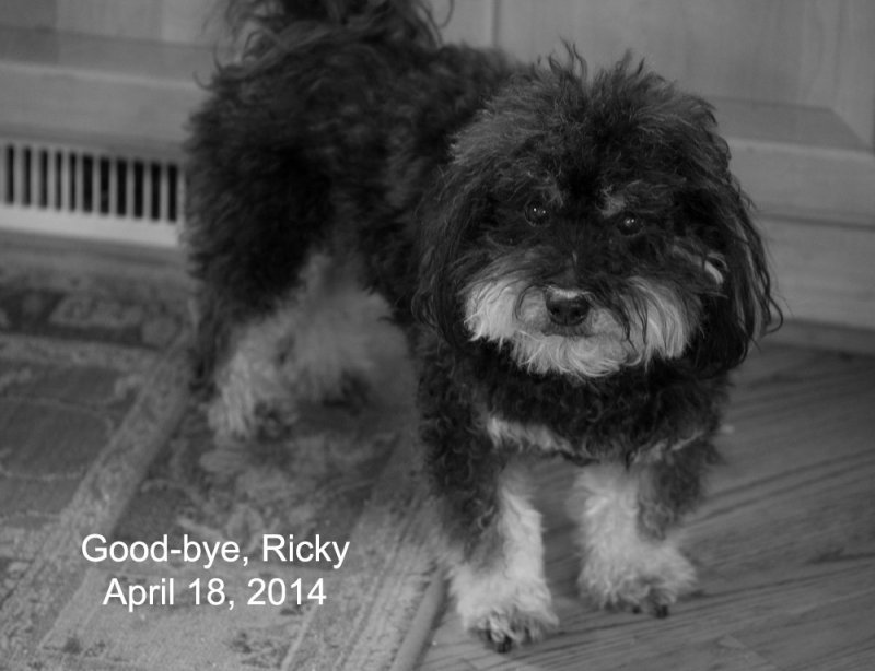 Good Bye Ricky