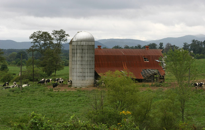 Gray Day at the Farm 2004