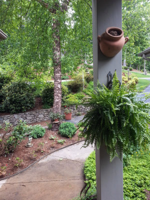 20130526_100844 Through front door sidelight