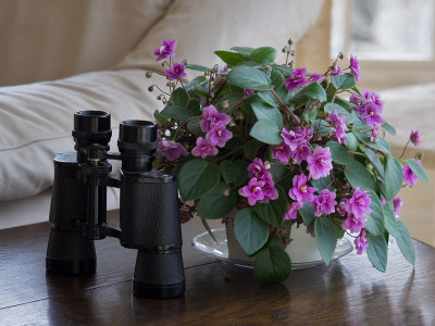 P3210012 flowers and binoculars