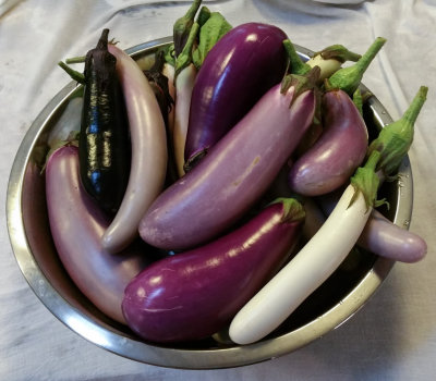 Bowl of Eggplant