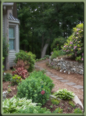 P5290026 Garden Path