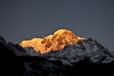 IMG_4555.jpg