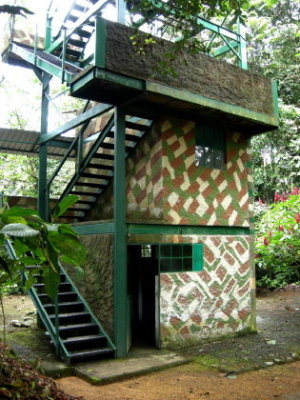 Canopy tower.jpg