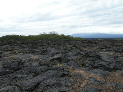 Lava.jpg