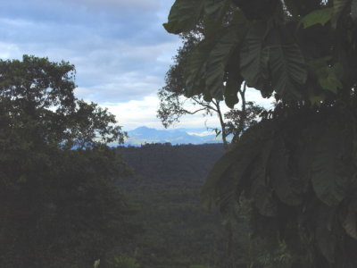 Mountain view.jpg