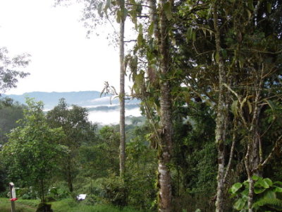 Mountain view2.jpg