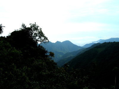Mountain view4.jpg