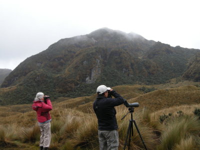 N&X Paramo.jpg