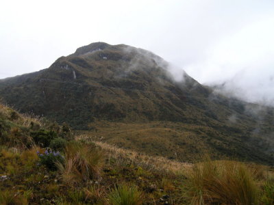 Paramo2.jpg