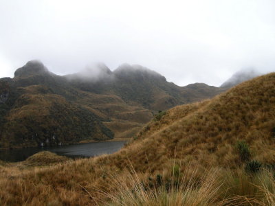 Paramo3.jpg