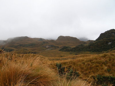Paramo4.jpg
