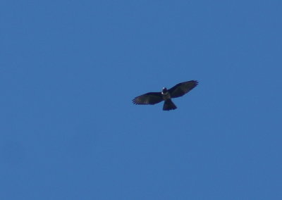 g9/92/16792/3/154739235.joTXDMd6.jpg