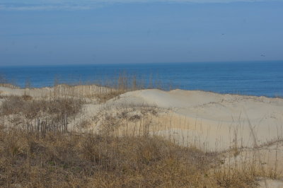 Outer Banks sand dunes.jpg