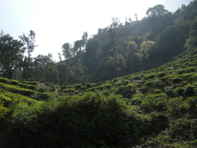 g9/92/16792/3/155108230.kI0PIMSE.jpg