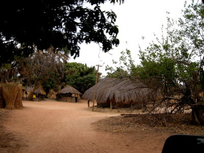 g9/92/16792/3/155186172.ZvMViWUF.jpg