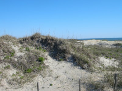 Coquina Beach 3.jpg