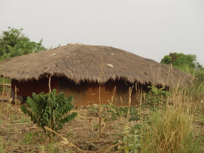 Banda 2.jpg