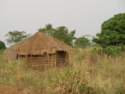 Banda 3.jpg