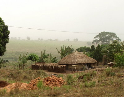 Banda with bricks.jpg