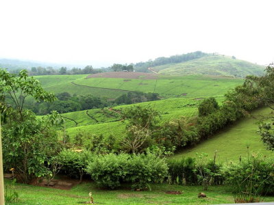 g9/92/16792/3/155804248.8NIbwGNl.jpg