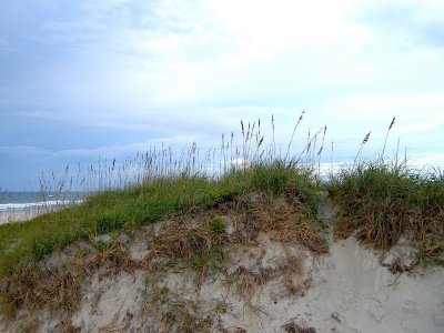 The beach 6.jpg