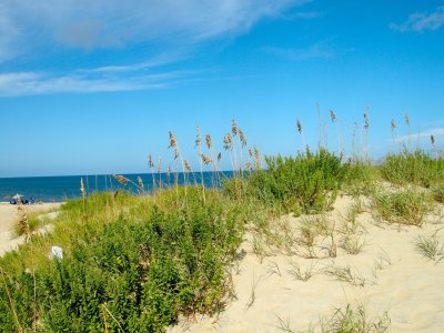 The beach.jpg