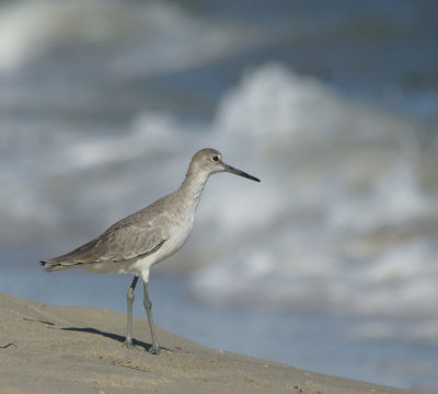 Outer Banks of North Carolina 2014