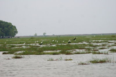 Moeyungyi Wetland.jpg