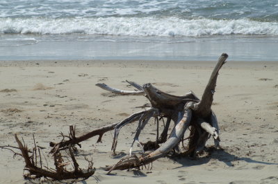 Nature's sculpture.jpg
