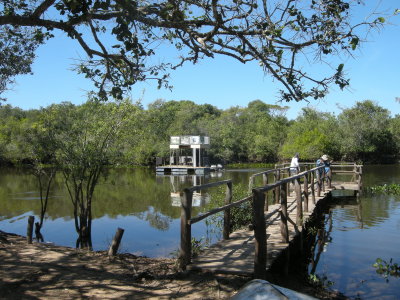 Pantanal Discvery- afloat in oxbow lake.jpg