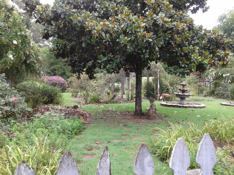 PFs back yard