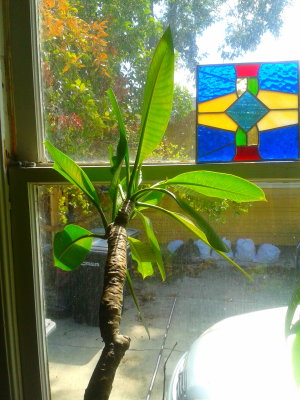 2013-10-10 13:05