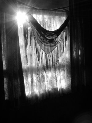 sunlight