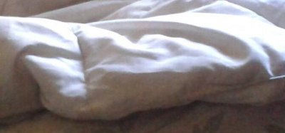 so i cropped it