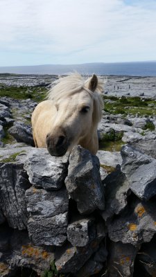 OCMC Choir Tour - Ireland