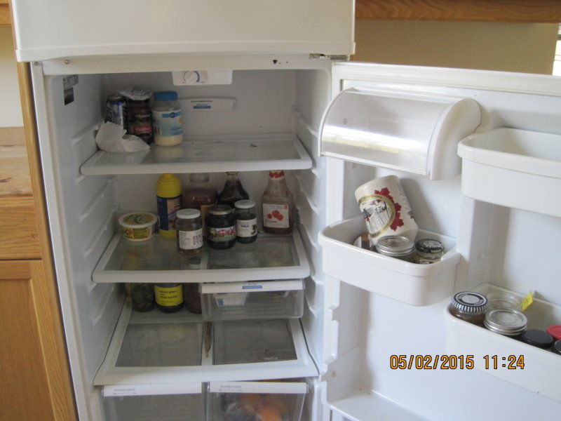 Stuff Left in Fridge