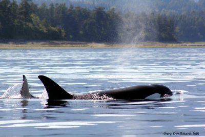 British Columbia